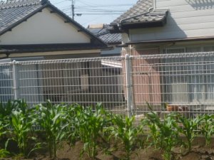 5gatunokodomo14.JPG